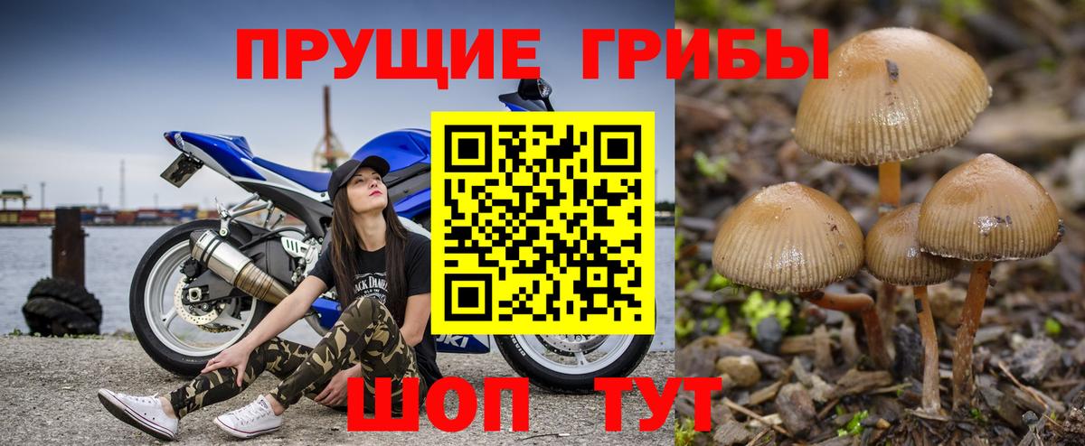 Псилоцибиновые грибы Cubensis Рассказово