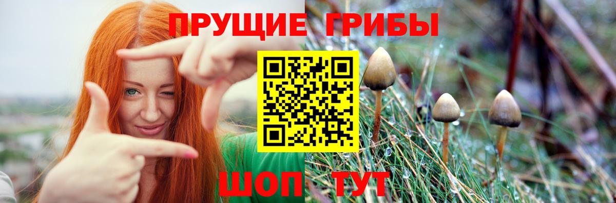 Псилоцибиновые грибы прущие грибы  Галлюциногенные грибы GOLDEN TEACHER  Вход с VPN  Рассказово 
