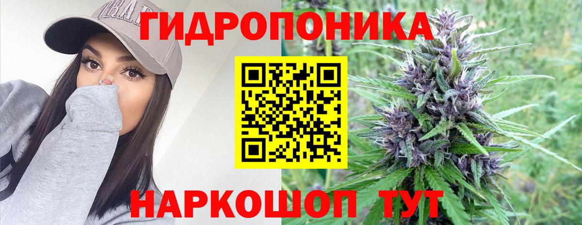 Канабис сатива Рассказово